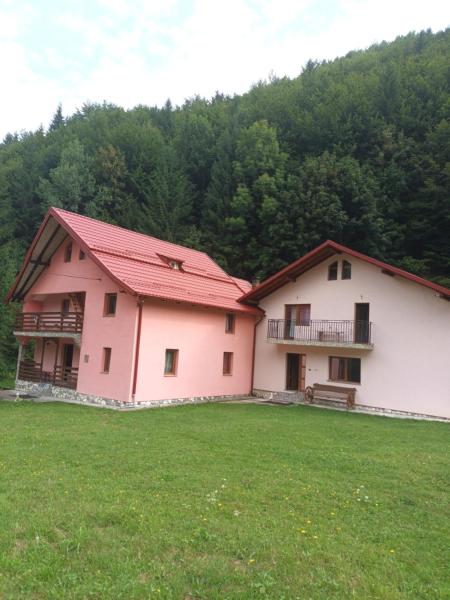 Na fotografii je vidět objekt Casa Cerbului Moisei nacházející se ve městě Moisei.