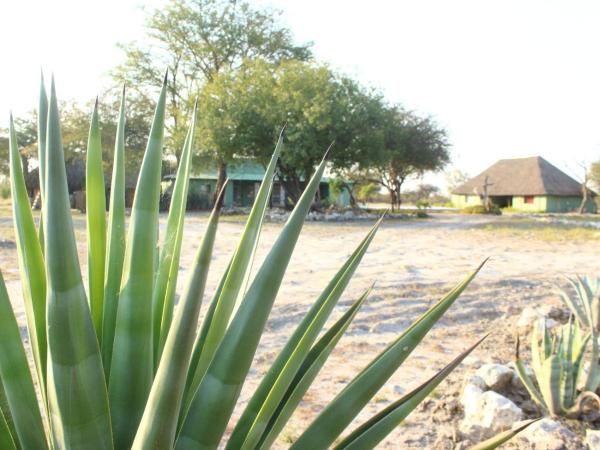 Auf dem Foto ist das Objekt Gelnhausen Game Lodge cc in der Stadt Otavi zu sehen.