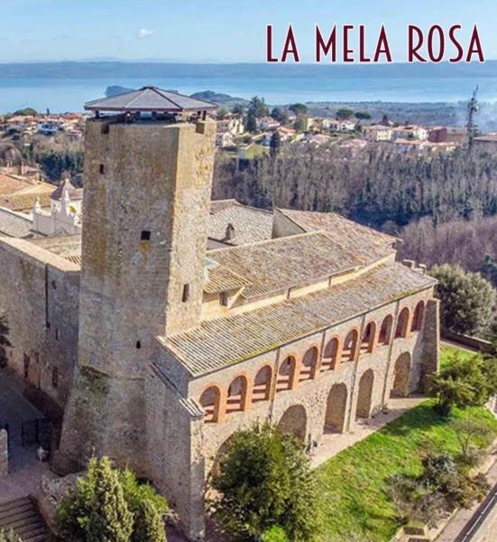 La Mela Rosa, Valentano