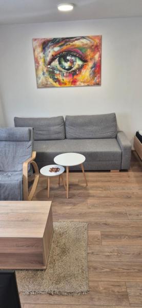 Op de foto is het object 1 izbový pekný apartmán s neskorým odchodom až do 14 hodiny te zien, gelegen in de stad Kynceľova.