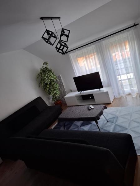 照片显示了位于Orašac市的Pancho Apartment's物件。