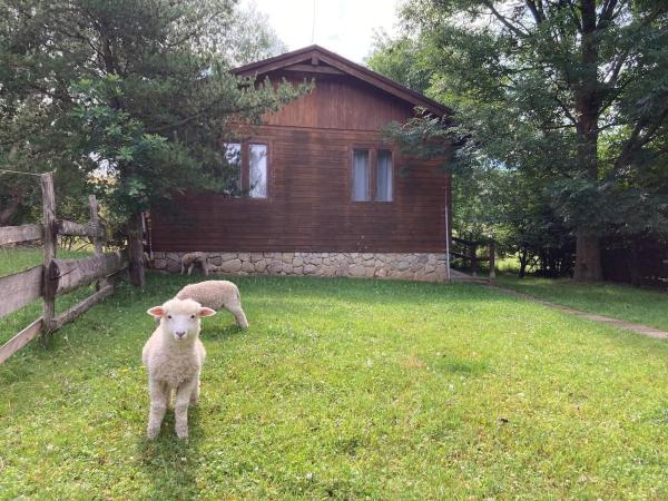 Στη φωτογραφία φαίνεται το αντικείμενο Cottage by the Ponds που βρίσκεται στην πόλη Horný Vadičov.