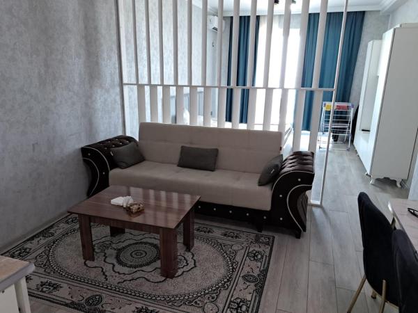 A la foto es mostra l'objecte Astara Terrace Apart 01-45 situat a la ciutat de Astara.