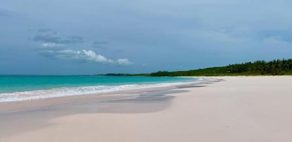 Cayo Loco Studio - Cayo Loco Pink Sand Beachview Studio Villa home, Colebrooke Dale