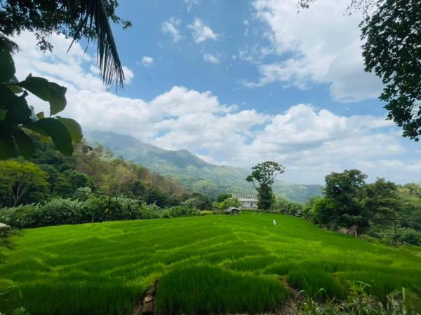 A la foto es mostra l'objecte Wow Field Homestay situat a la ciutat de Ella.