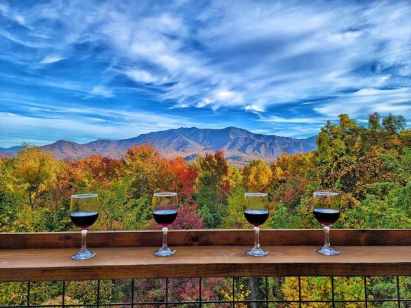 Glimpse Of Bearadise - Gatlinburg, TN