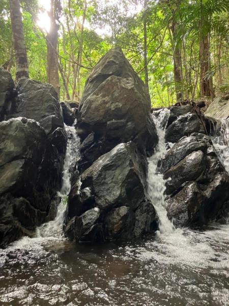 Relaxed Tropical Living - Kuranda