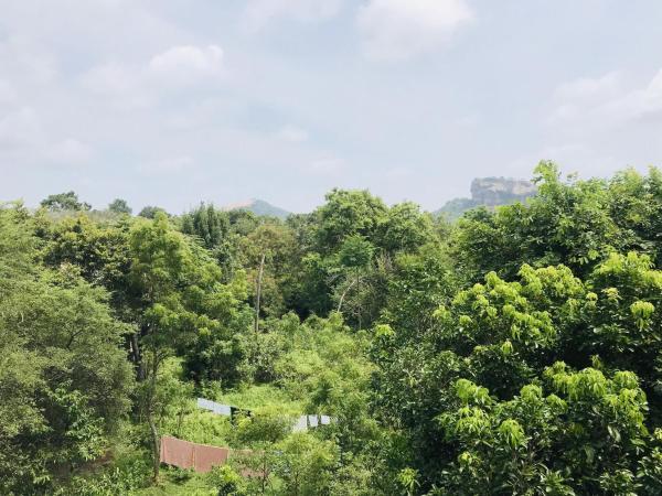 En la foto se muestra el objeto Sigiriya World Hostal ubicado en la ciudad de Sigiriya.