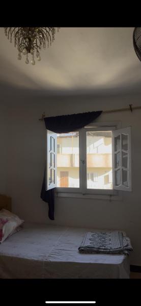 الازاريطهの写真3