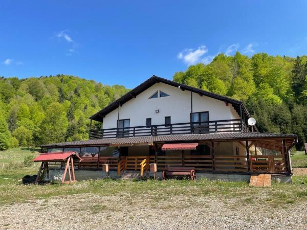 På billedet ses objektet Cabana Turistica Izvorul Muntelui beliggende i byen Posnaş.