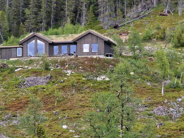 На фото показан объект Ny hytte med panoramautsikt, расположенный в городе Hjartdal.