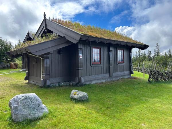 На фото показан объект Sleepover in the mountains, расположенный в городе Hjartdal.