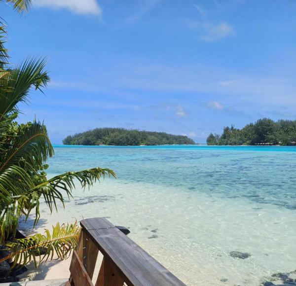 GAIA BEACH AND LAGOON - At Tiahura place, Haapiti