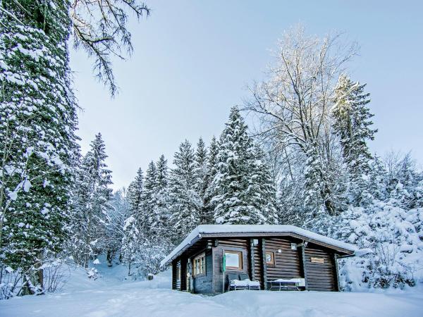 Zdjęcie 2: Chalet in Wörgl near SkiWelt Wilder Kaiser