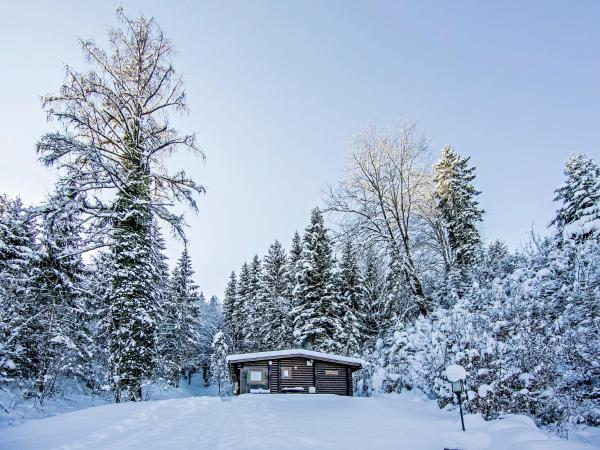 Zdjęcie 3: Chalet in Wörgl near SkiWelt Wilder Kaiser