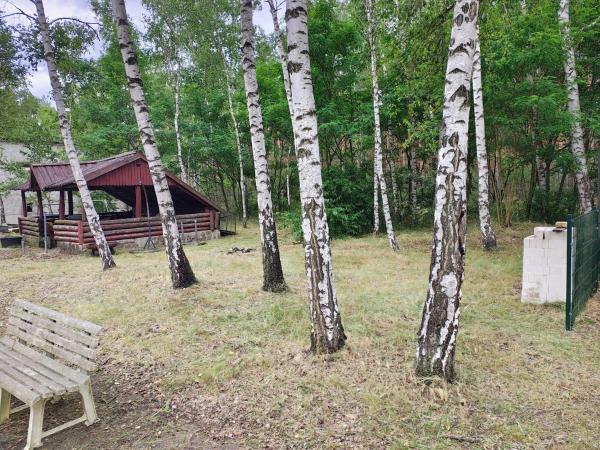 Waldcamp Hundeparadies - Almanya