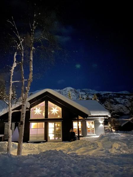 Na zdjęciu widoczny jest obiekt New cottage near the city center and ski slope położony w mieście Hemsedal.