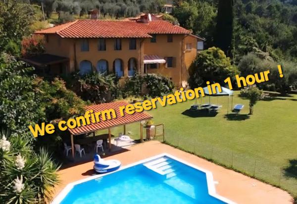 A la foto es mostra l'objecte IL CARNASCIALE PIEVE di CAMAIORE -Bouganville- situat a la ciutat de Camaiore.