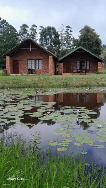 Na fotografii je vidět objekt Harnham Mountain Lodge nacházející se ve městě Elsteg.