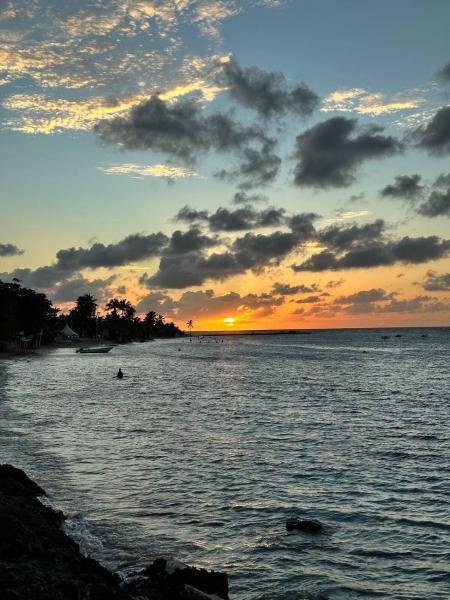 Charmant T2 - Plage et Bourg de Sainte-Anne photo 6