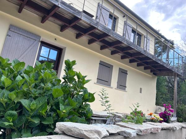 Sisco Nature - Brando