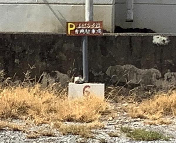 Bilde 3: わったー家あぱらぎ館
