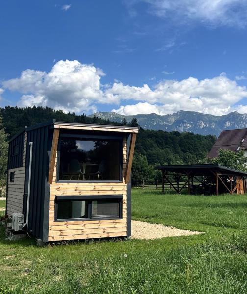 A la foto es mostra l'objecte Tiny Bran 2 situat a la ciutat de Bran.