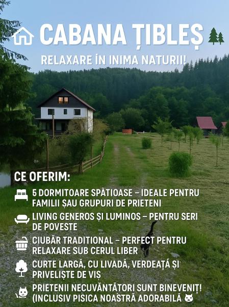 A la foto es mostra l'objecte Cabana Țibleș situat a la ciutat de Telcişor.