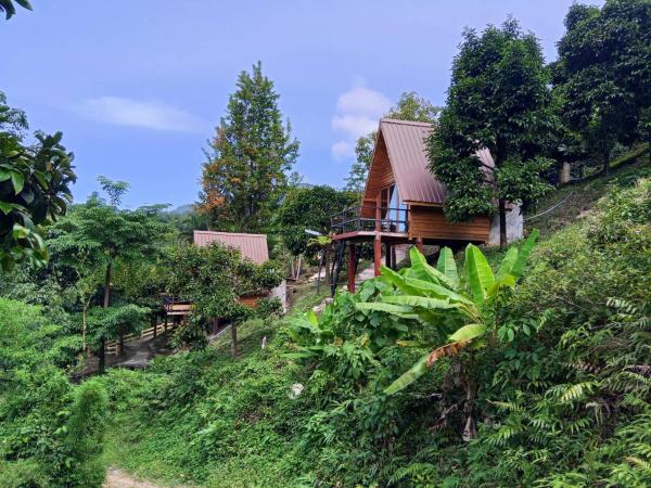 Na fotografii je vidět objekt The BED Forest Camp Lansaka ฟอเรสแค้มป์ ลานสกา nacházející se ve městě Baen.