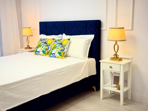 Op de foto is het object Boutique Apartment te zien, gelegen in de stad Bărcăneşti.