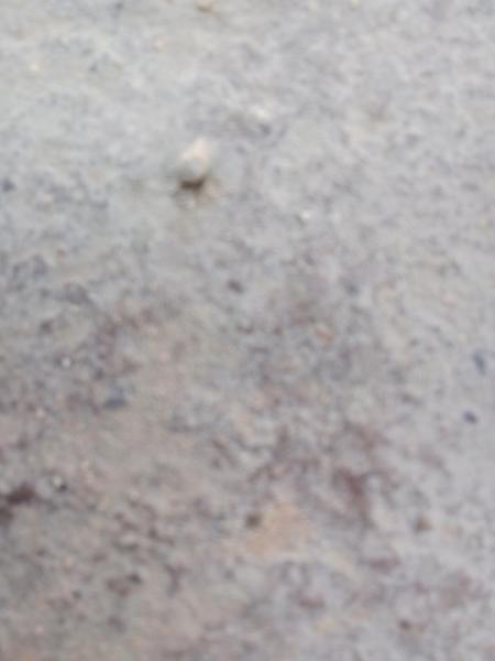 Foto 2: الرفق