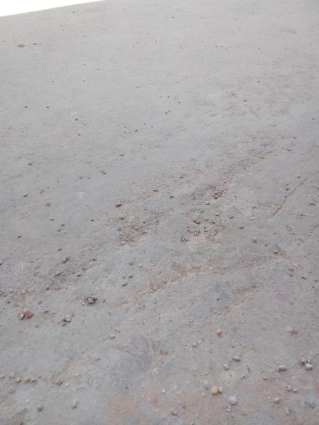 Foto 7: الرفق