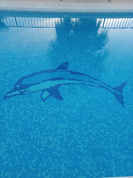 Auf dem Foto ist das Objekt Finca Rolani,beheizbarer Pool, absolut Privat in der Stadt Fortuna zu sehen.
