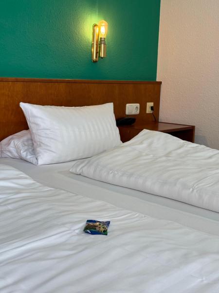 A la foto es mostra l'objecte Hotel am Bergl situat a la ciutat de Euerbach.