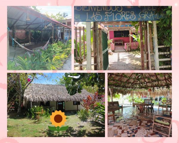 写真にはグランデ島市にあるECOHOTEL LAS FLORES Econativoが写っています。