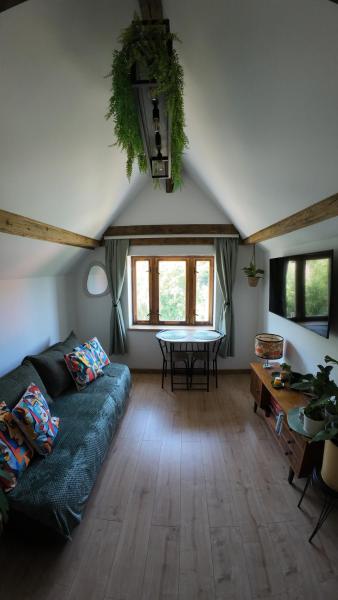 Foto 7: Studio z widokiem na park
