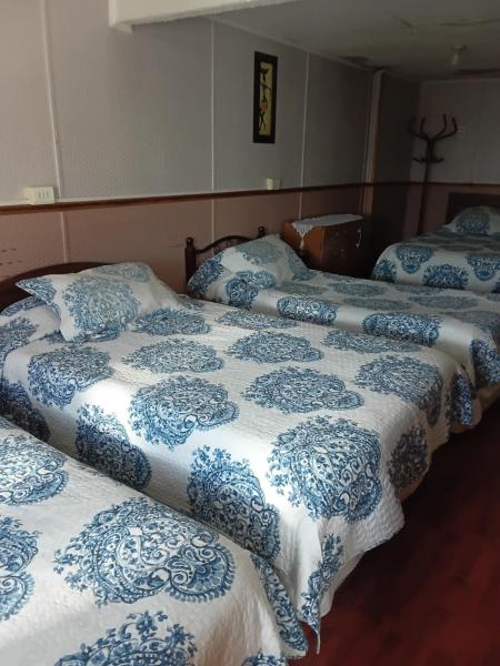 A la foto es mostra l'objecte Hostal Patagonico situat a la ciutat de Punta Arenas.