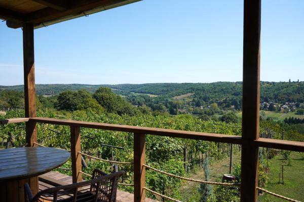 Auf dem Foto ist das Objekt Zalaidill Wellness Vendégház in der Stadt Gelse zu sehen.