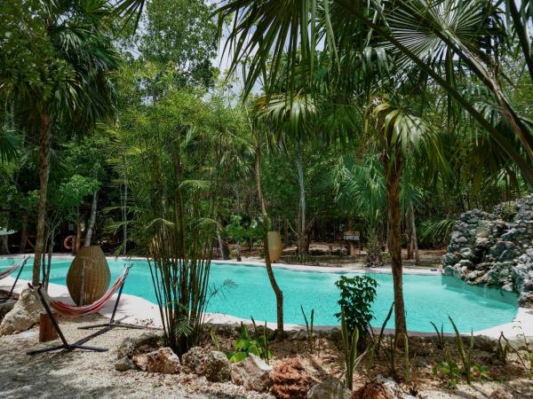 Na fotografii je vidět objekt Jolie Jungle Eco Hotel nacházející se ve městě Puerto Morelos.