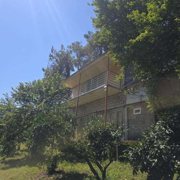 Na fotografii je vidět objekt Guesthouse