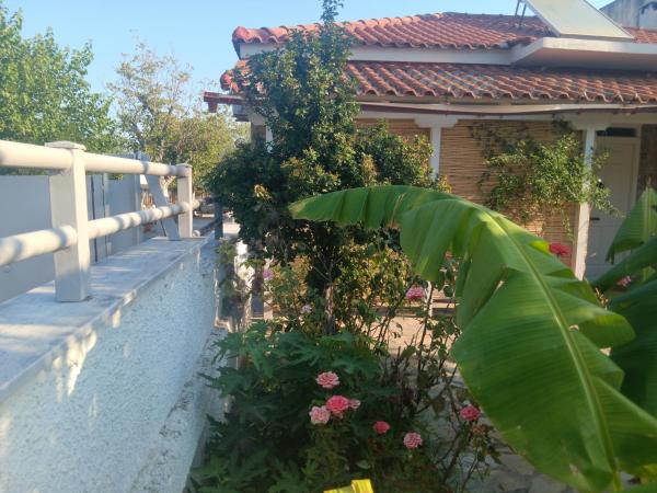 Photo 6 : ΆΘΟΣ (ATHOS)