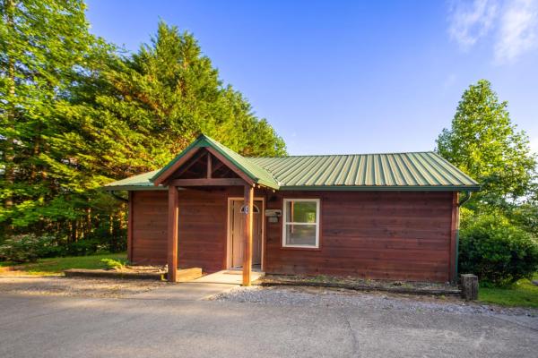 A la foto es mostra l'objecte Sevierville Family Cabin W Hot Tub, Game & Views situat a la ciutat de Sevierville.