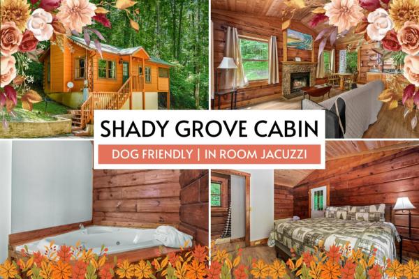 A la foto es mostra l'objecte Shady Grove, Pet-Friendly Cabin, In-Room Jacuzzi, King Bed, WiFi situat a la ciutat de Sevierville.