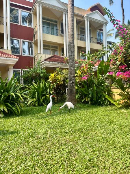 Amber- Sun-kissed Holidays, Goa - Goa