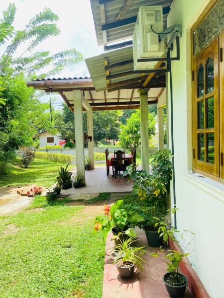 Na zdjęciu widoczny jest obiekt Hiriketiya Lima Homestay położony w mieście Dickwella.