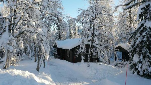 Na zdjęciu widoczny jest obiekt Messlingen, Orrstigen 5 położony w mieście Funäsdalen.