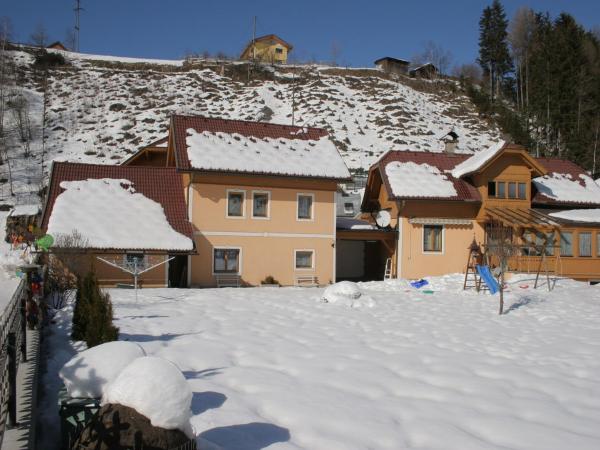 The photo shows the Apartment in Rennweg near Katschberg Ski Area located in the city of Purbach.