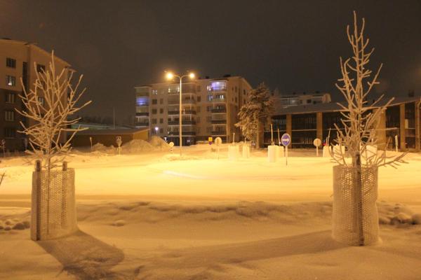 Kaarnikkarakka 28