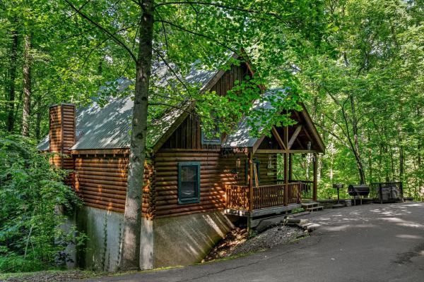 Nella foto è visibile l'oggetto Forest Fling Cabin situato nella città di McCookville.