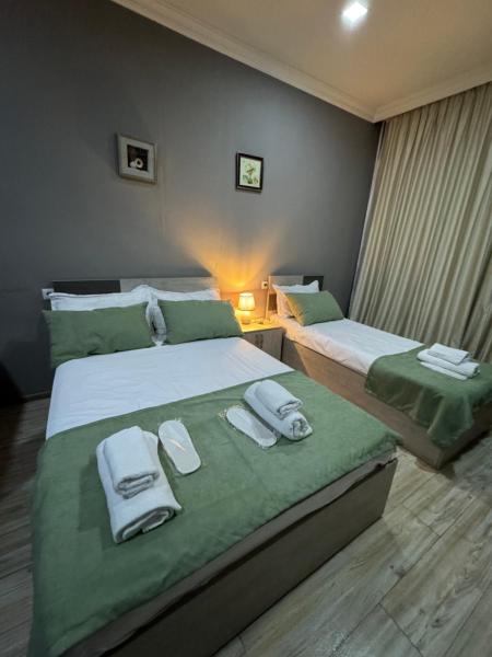 Na zdjęciu widoczny jest obiekt Mtis Kheoba Apartment położony w mieście Bordżomi.